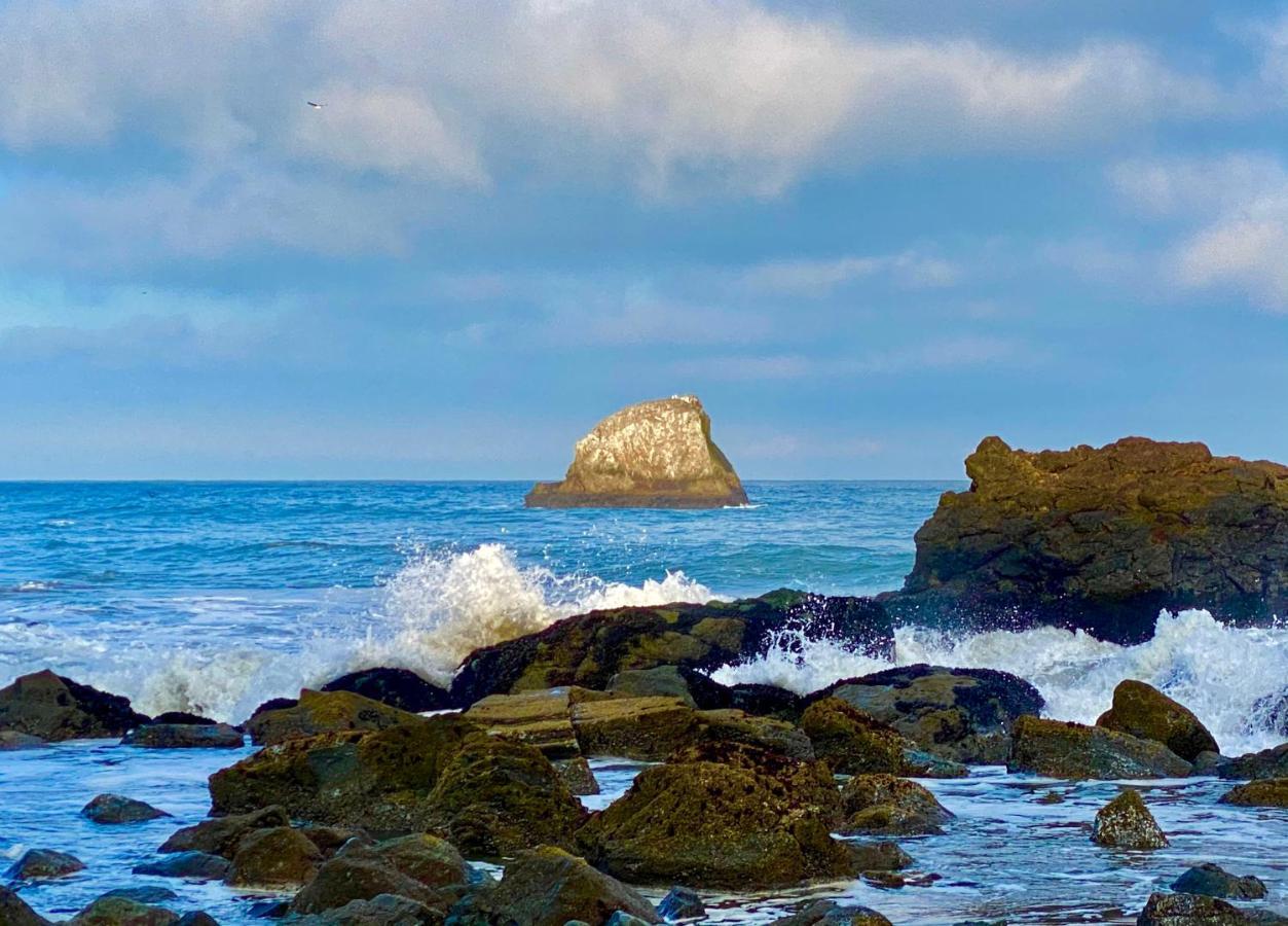 Sf King Nest By The Golden Gate Park And Beach With Private Patio Apartamento San Francisco